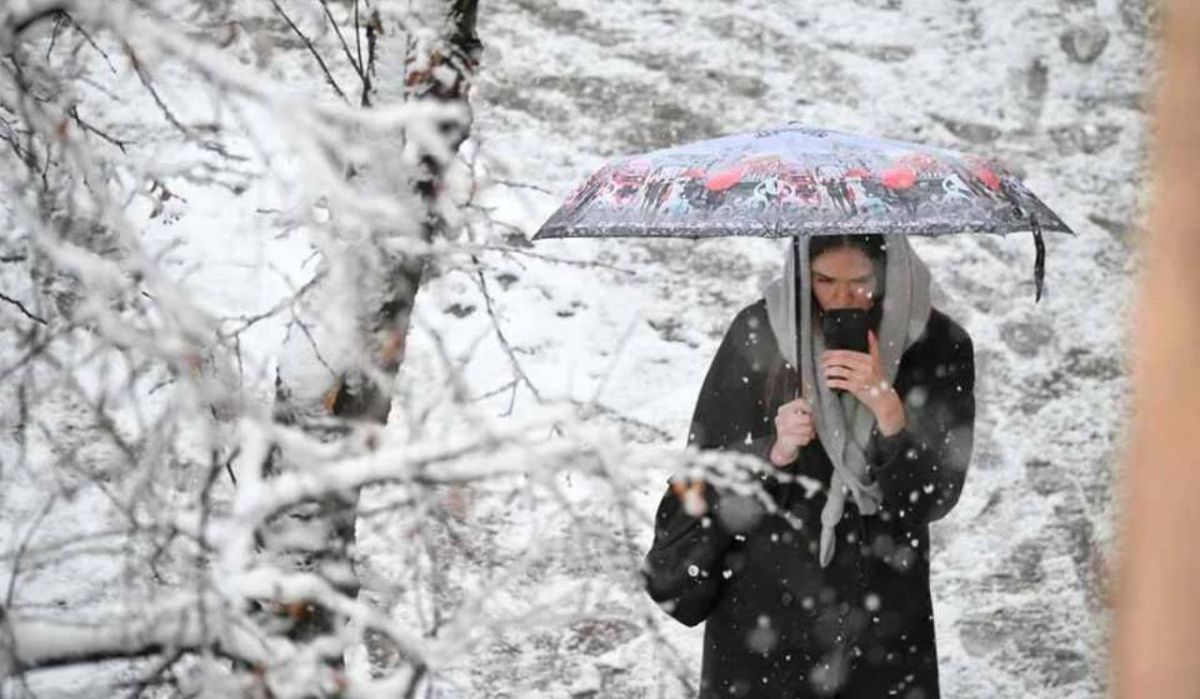 Леус рассказал о погоде в Петербурге 8 декабря