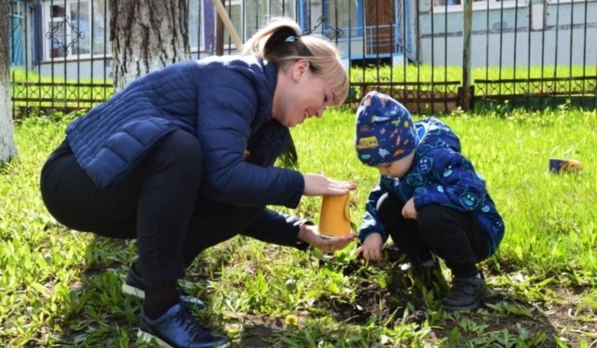 В Петербурге появится кедровая аллея в честь  80-летия снятия блокады Ленинграда