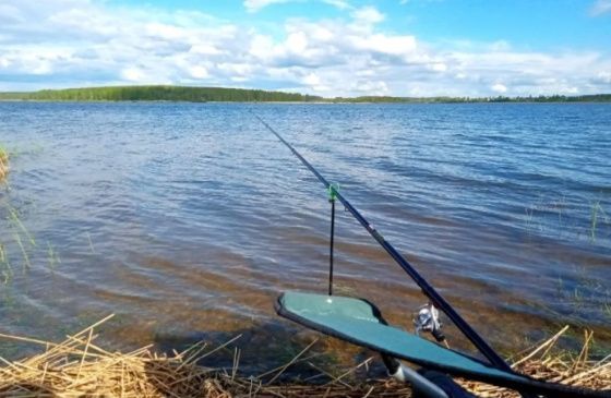 В Волгоградской области запретили ловить рыбу