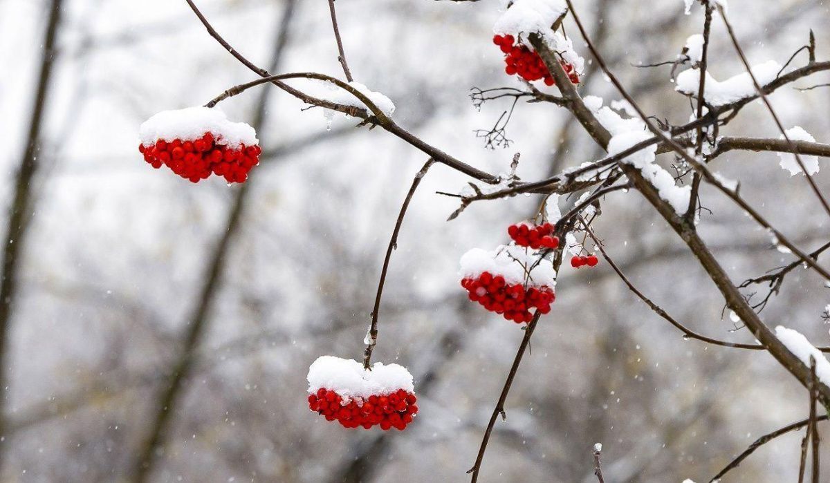 Облачно и снег в столице: прогноз погоды на ближайшие дни