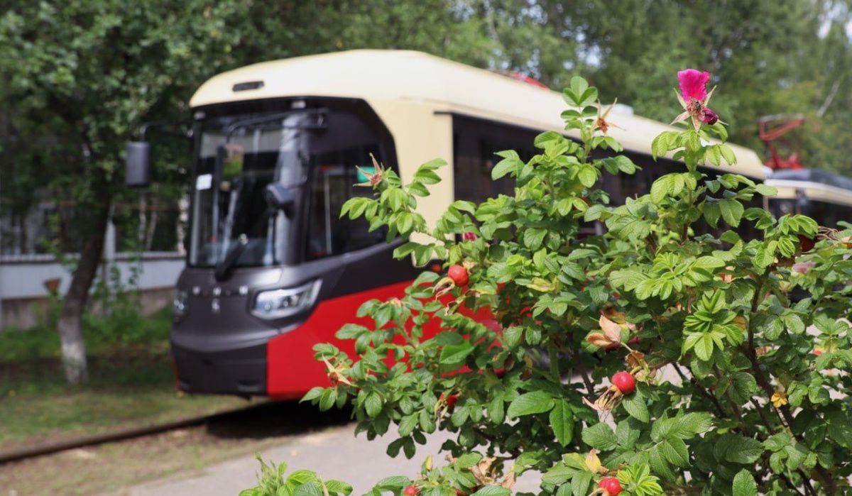 В Нижнем Новгороде запускают проект &quot;Первое трамвайное медиа&quot;