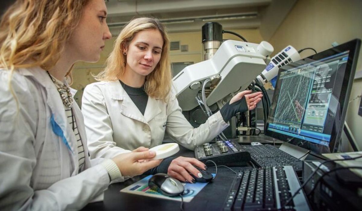 В Нижнем Новгороде разработали ранозаживляющие покрытия на основе рыбы