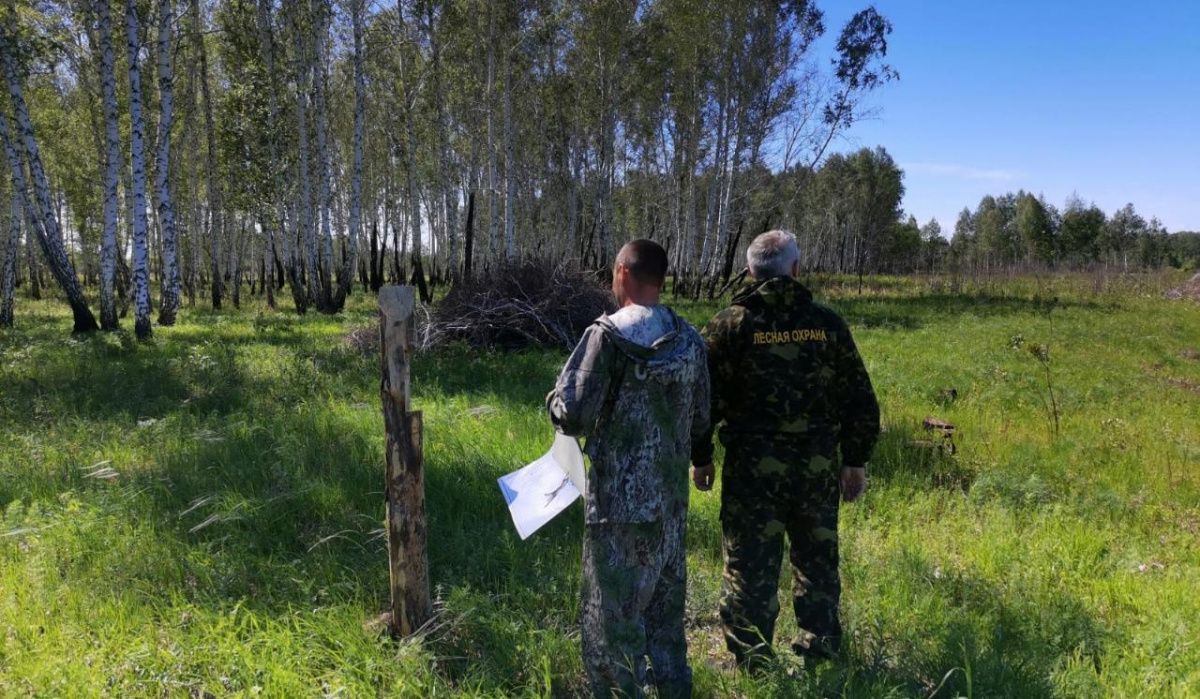 В Омской области в 10 раз вырастут штрафы за нарушение правил пожарной безопасности 