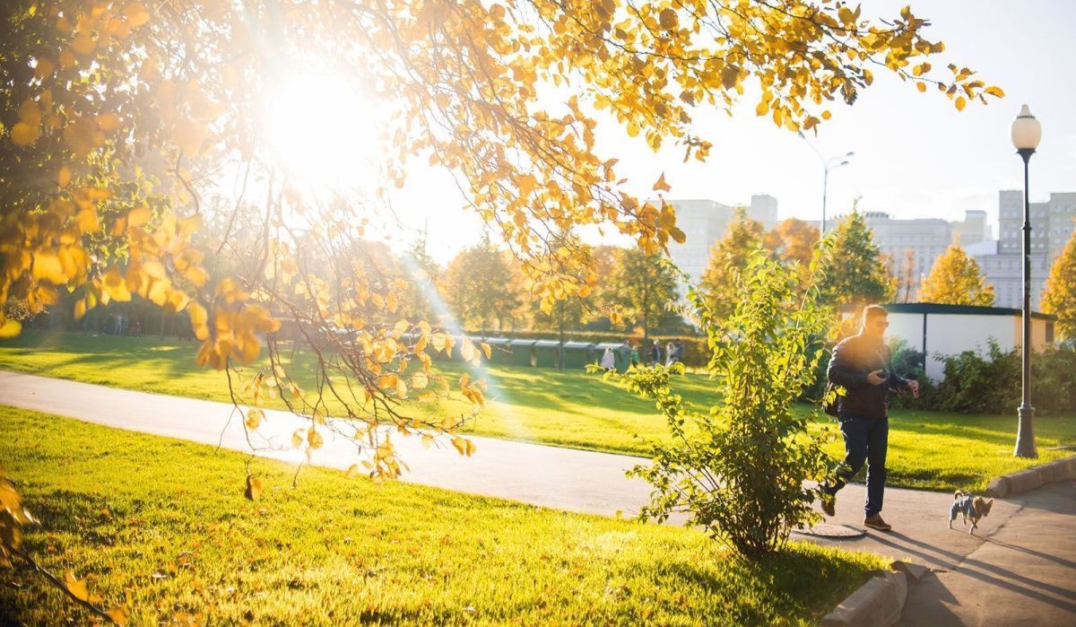 Теплая и сухая погода ожидается с 6 по 10 сентября: температура до +23°C