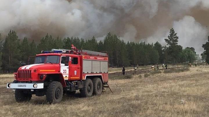В Челябинской области от лесных пожаров пострадали два памятника природы