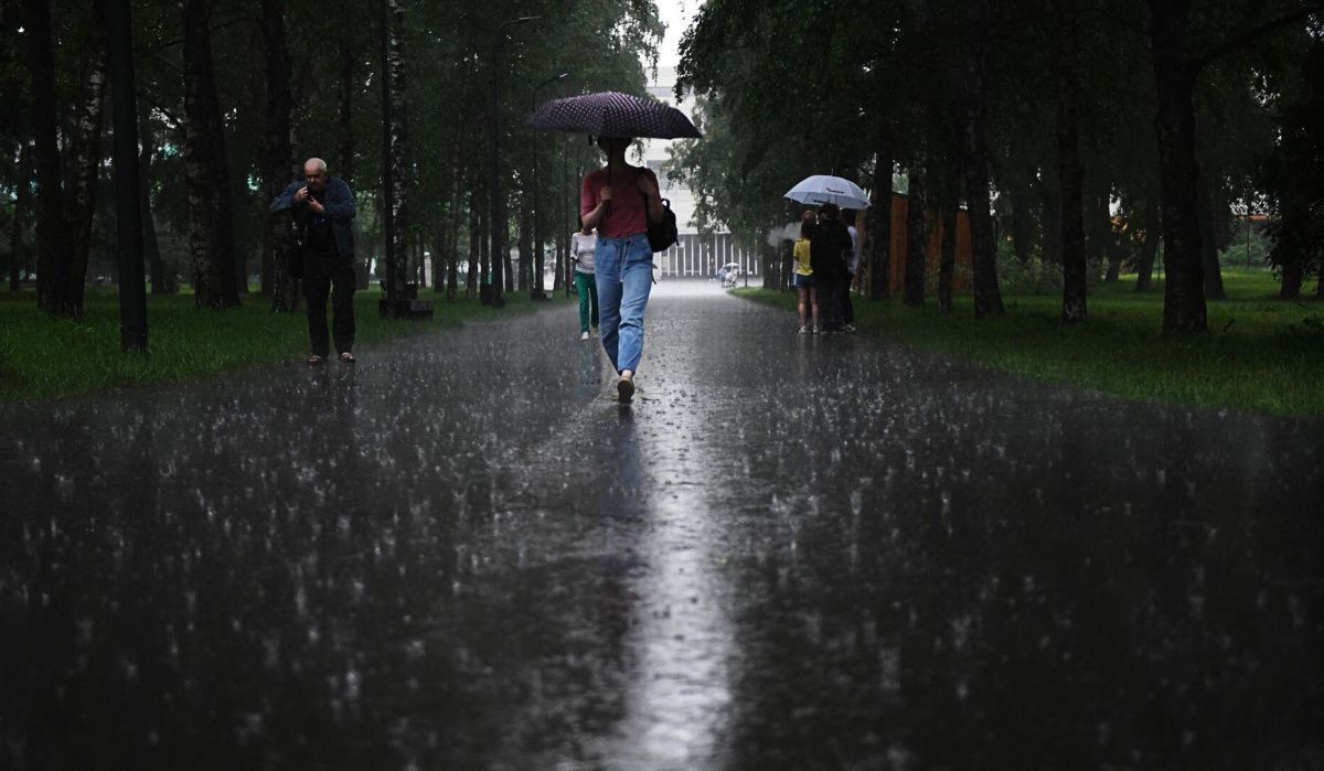 В Петербурге прогнозируют окончание жары и начало кратковременных дождей