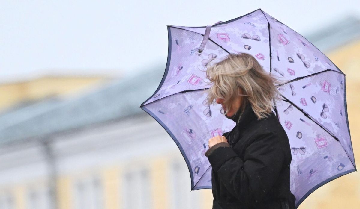 Первые заморозки ожидаются в Санкт-Петербурге и области