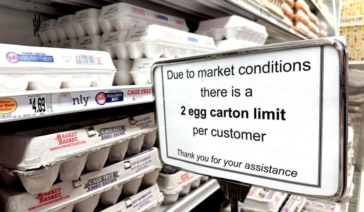 Россия впервые в истории начала экспорт куриных яиц в США