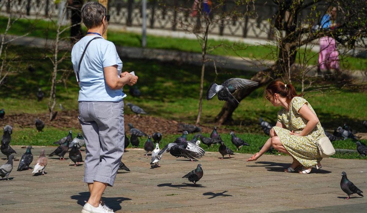 Вильфанд объясняет аномальную июльскую погоду в Москве