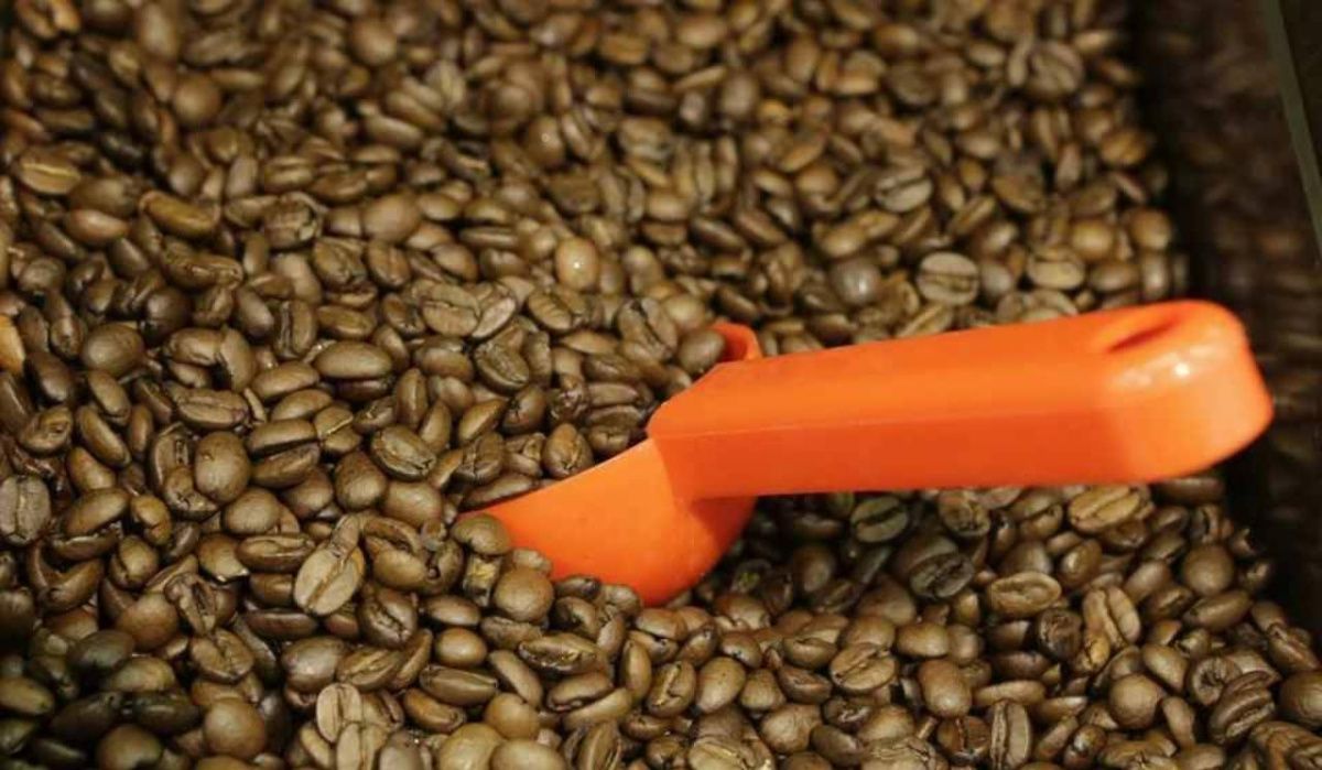 В Петербурге запретили ввоз 100 тонн бразильского кофе