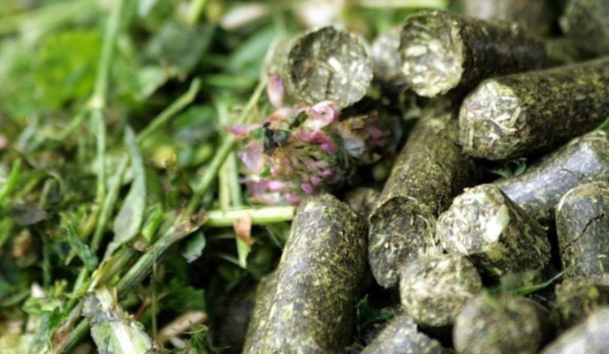 &quot;Птицефабрика Чайковская&quot; успешно ведёт заготовку витаминно-травяной муки