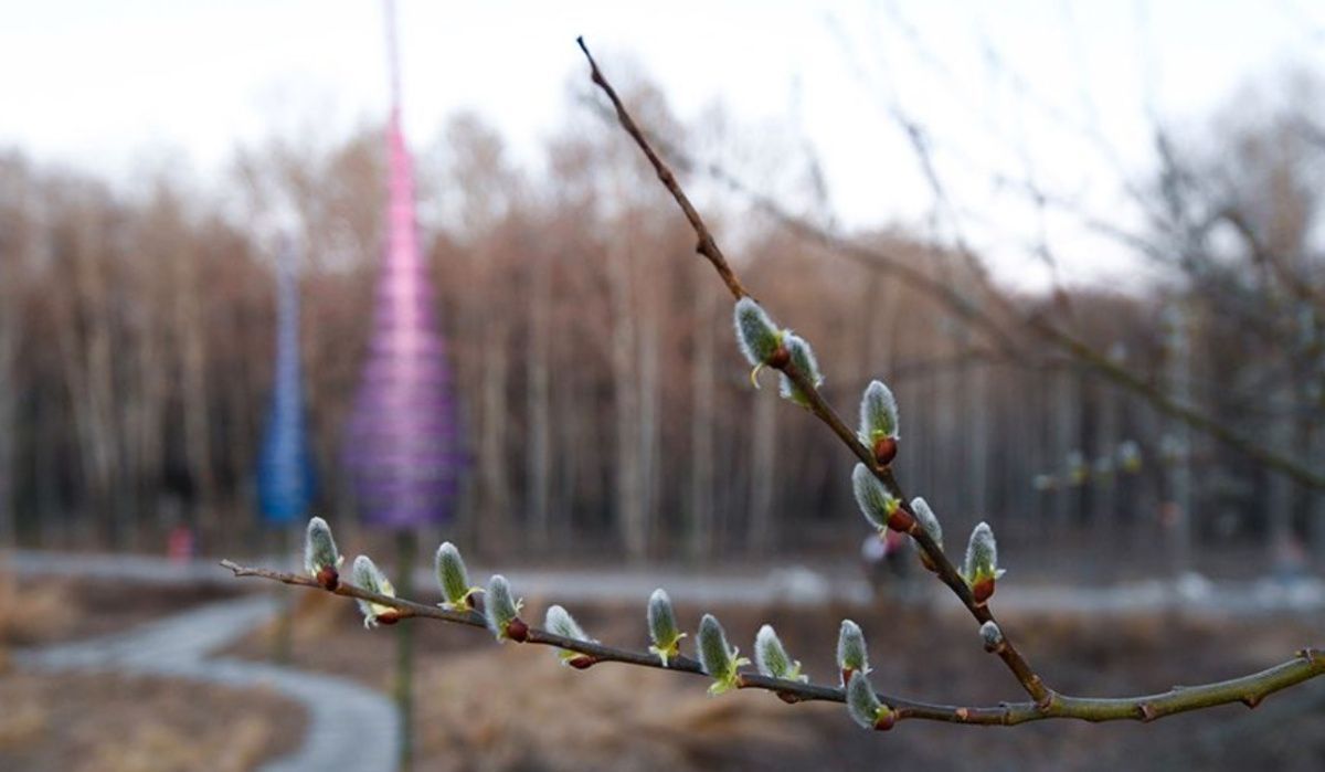 К концу недели в Татарстане ожидается резкое похолодание