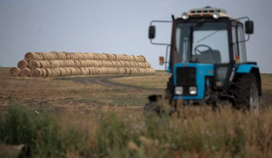 Темп предоставления господдержки челябинским аграриям обгоняет общероссийский