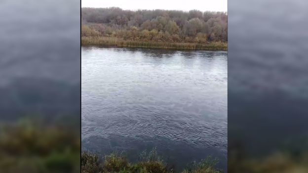 Разлив солярки в Дон вызвал обеспокоенность жителей Воронежа