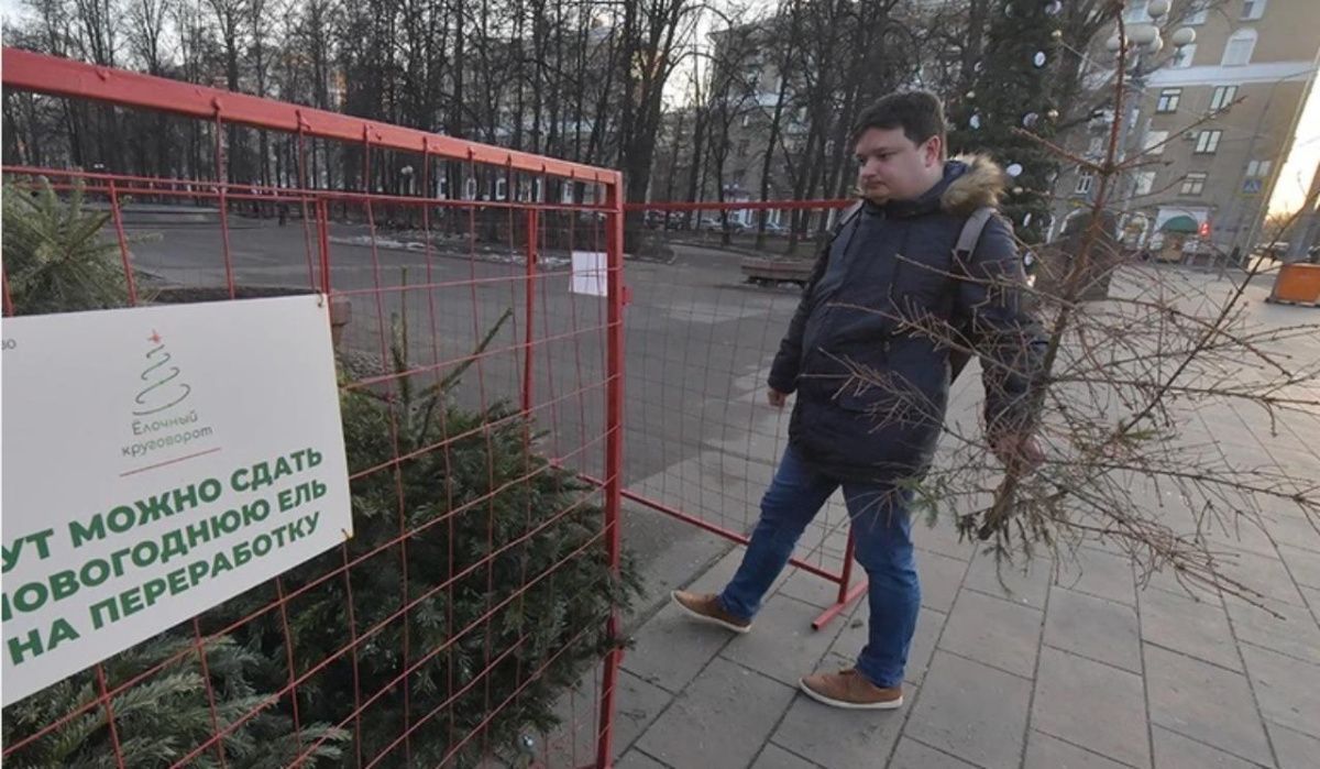 Жителей Перми в очередной раз приглашают поучаствовать в акции утилизации ёлок