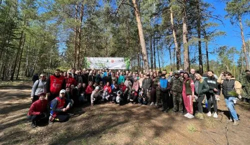 В Челябинске высадили более 550 тысяч молодых деревьев 