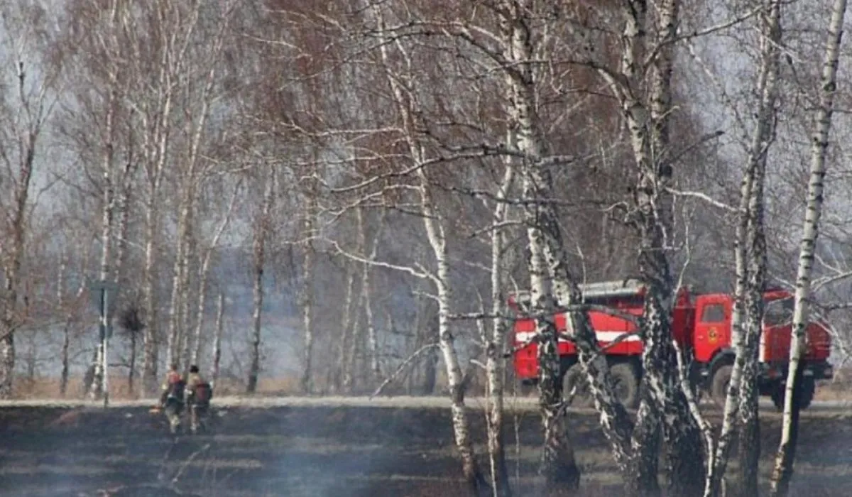 В Челябинской области установлен высокий класс пожарной опасности 