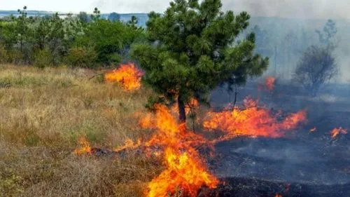 В Челябинской области за сутки ликвидировали 26 природных пожаров