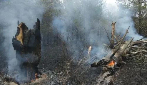 В Челябинской области загорелся национальный парк 